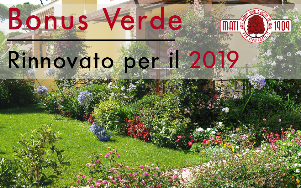 bonus-verde-2019