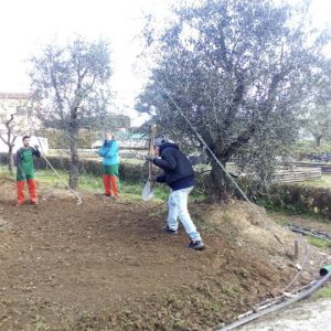 Sette-giovani-corso-giardinieri-professionisti