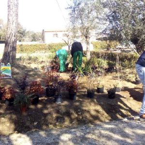 Sette-giovani-corso-giardinieri-professionisti