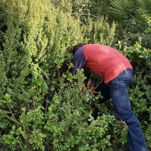 Sette-giovani-corso-giardinieri-professionisti