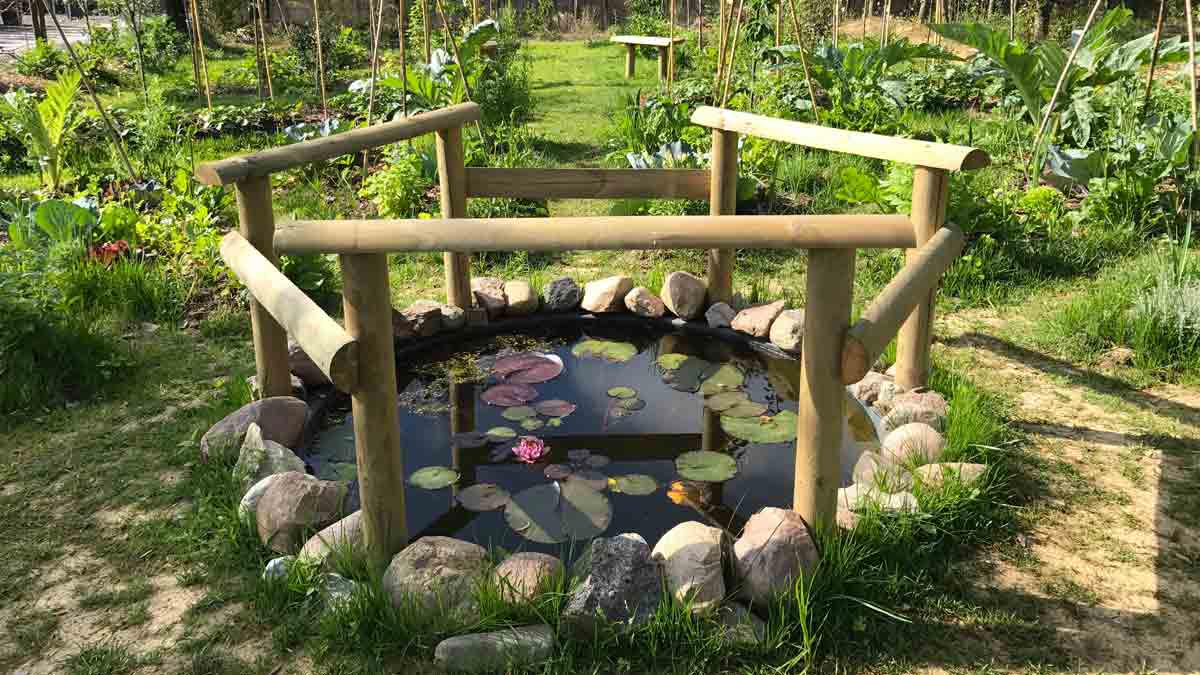 potager-jardin-conception-réalisation