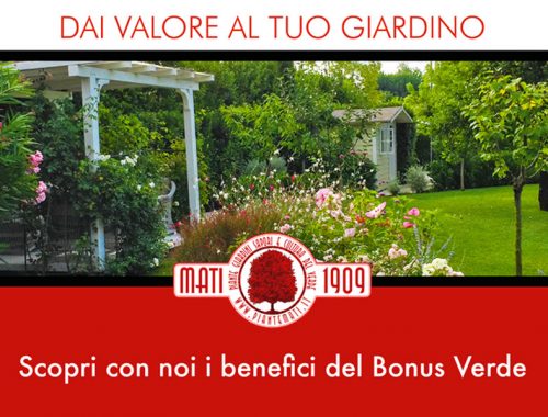 Mati-Experience-Speciale-sul-Bonus-Verde