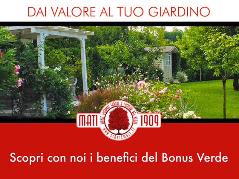 Mati-Experience-Speciale-sul-Bonus-Verde