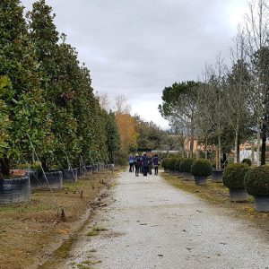 Progetto-di-educazione-ambientale-di-Pistoia-LA-MIA-CASA-COME-IL-MONDO