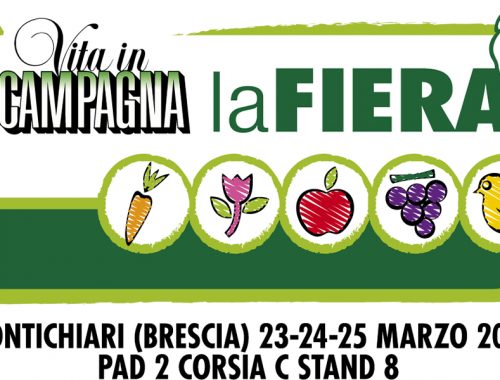 Vita-in-campagna