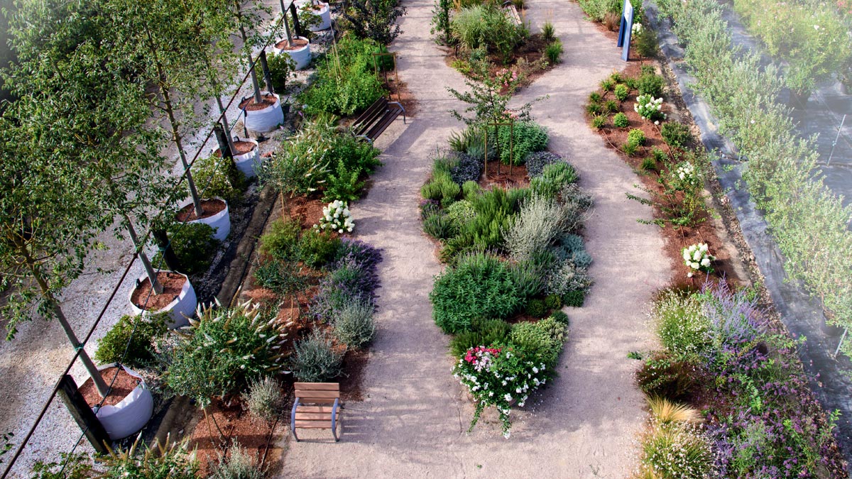 therapeutic-gardens-construction