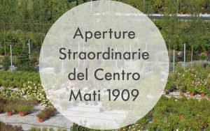 aperture-strordinarie