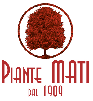 Piante-Mati-1909