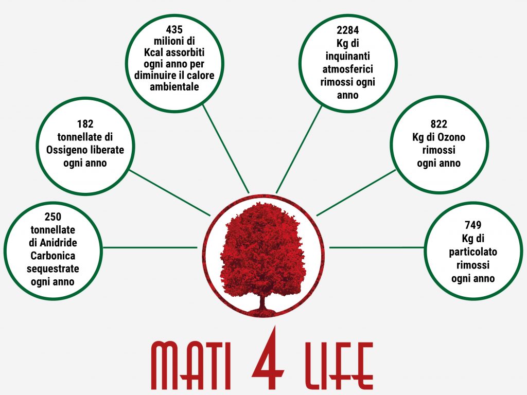 MATI-4-Life