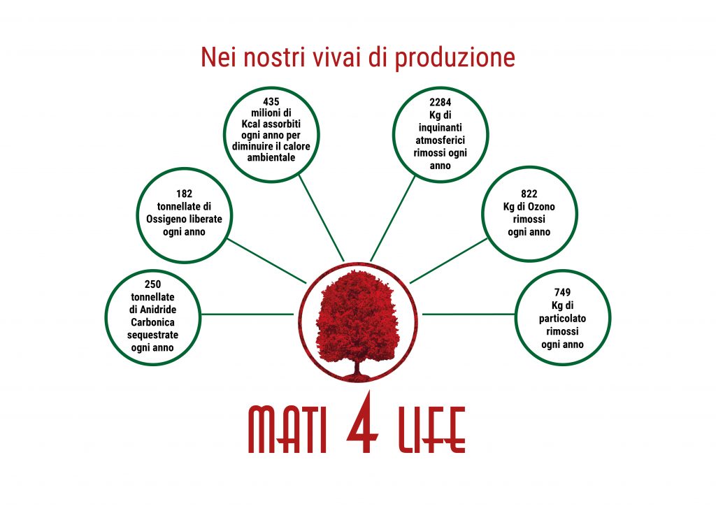 MATI-4-LIFE