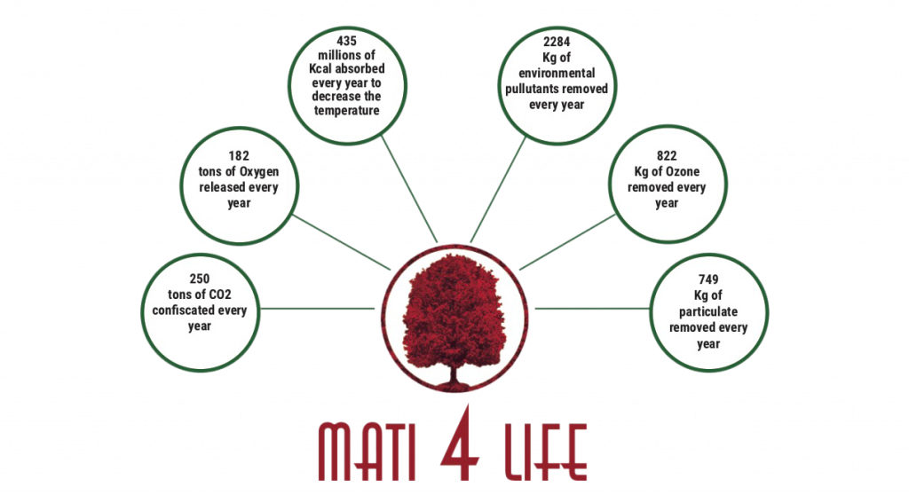 MATI-4-Life