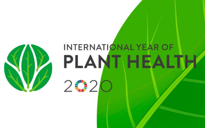FAO-anno-internazionale-delle-piante