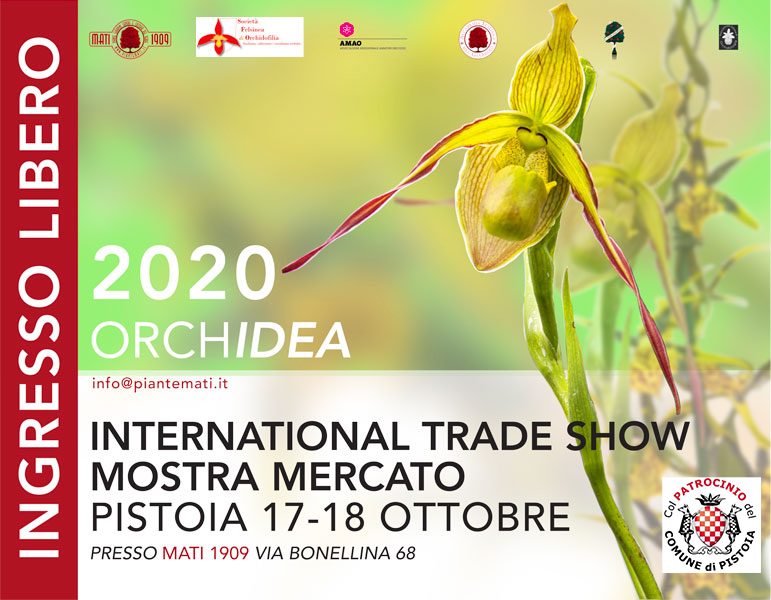 orchidea-2020