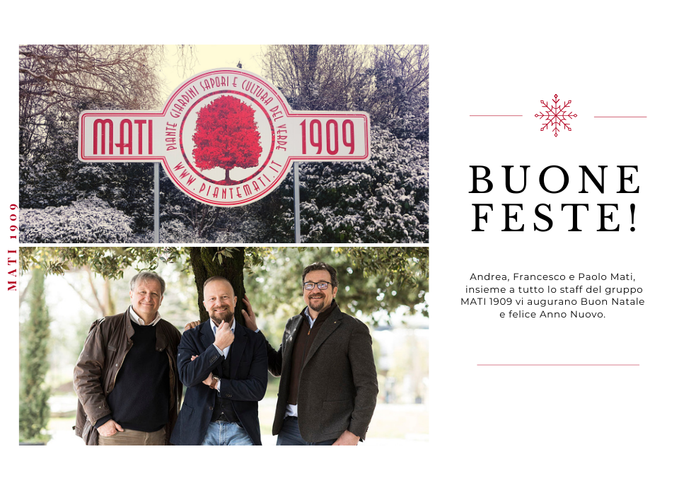 Natale-2020