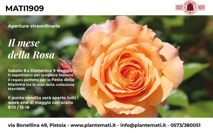 collezione-rose-2021