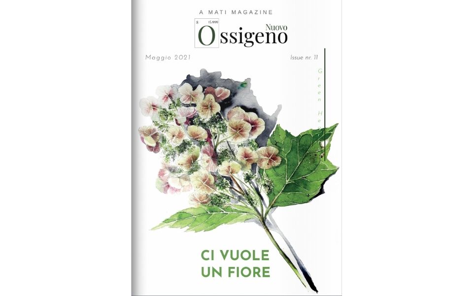 ortensie-ossigeno