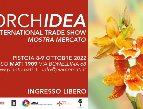 ORCHIDEA-2022