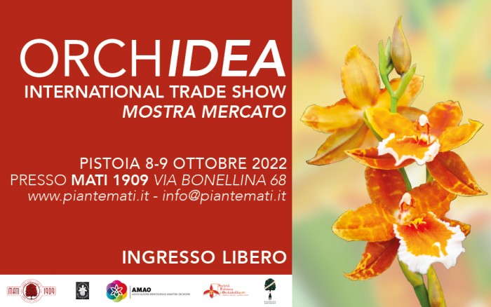 ORCHIDEA-2022