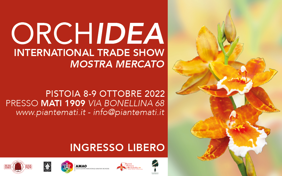 ORCHIDEA-2022