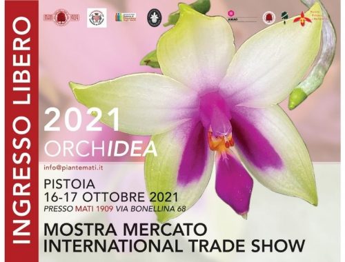 ORCHidea-2021