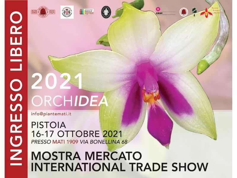 ORCHidea-2021