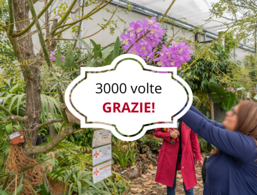 3000-volte-GRAZIE!