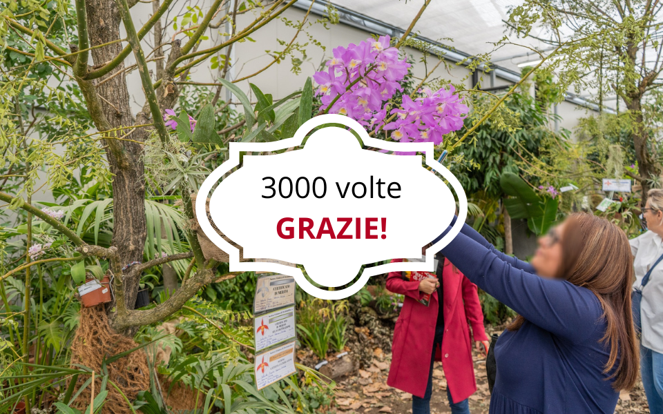 3000-volte-GRAZIE!