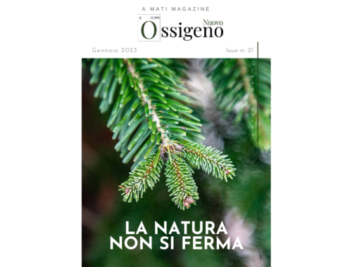 La-Natura-non-si-ferma