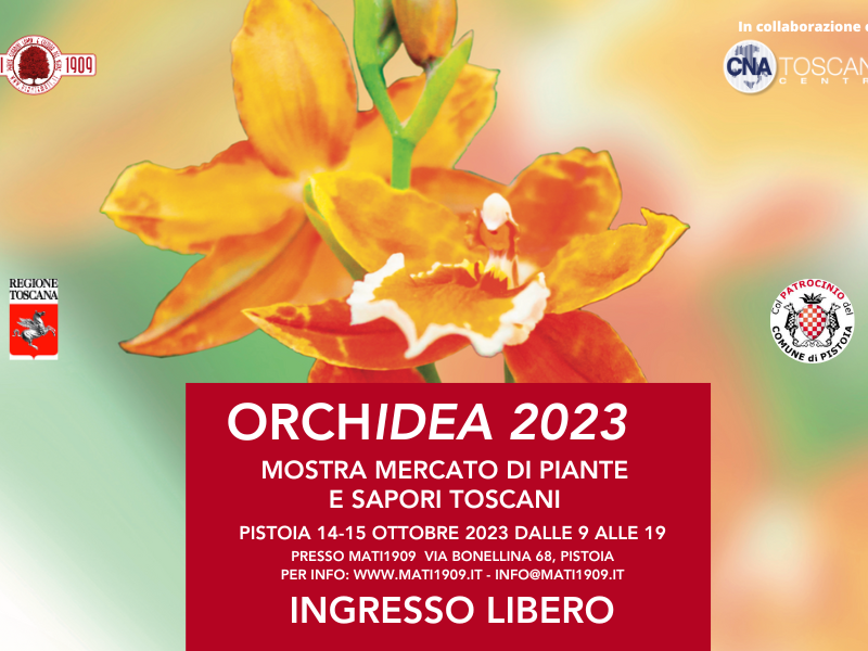 ORCHidea-2023