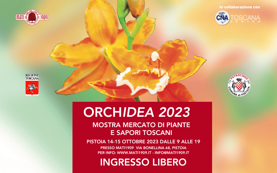 ORCHidea-2023