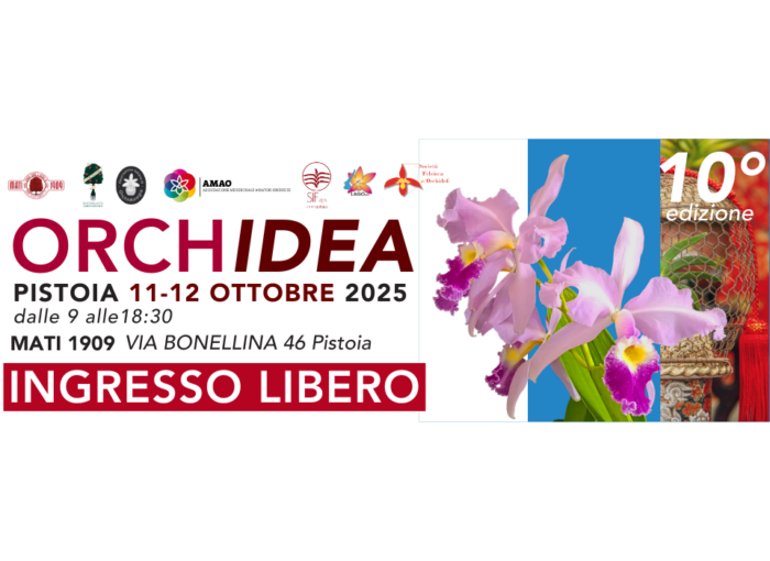 ORCHidea 2025