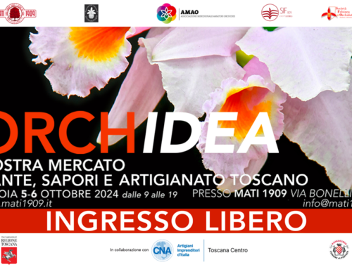 ORCHidea 2024