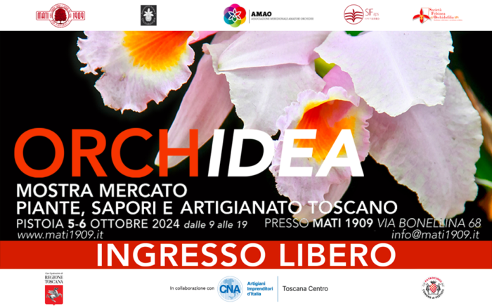 ORCHidea 2024