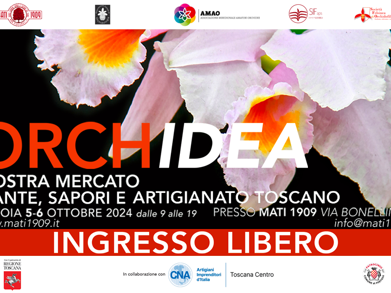 ORCHidea 2024